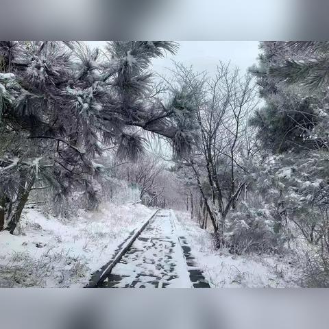 河南下周雨雪天气预报（河南明天下雪）