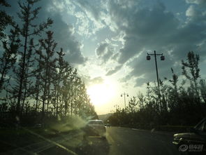 下班时，天色已不像傍晚，倒像是谁把整瓶墨汁泼在了天上。风开始躁动，推搡着行道树，把叶子翻出白晃晃的背面。手机屏幕亮了，气象台的预警短信简短有力，今晚有大暴雨，请市民注意防范