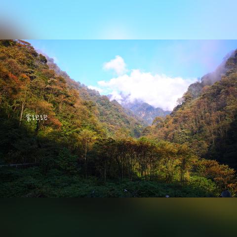 梵净山，云海之上的净土梵音
