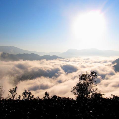 天气预告的褶皱里,藏着人间悲喜 天气预告的褶皱里,藏着人间悲喜