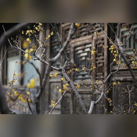 北京未来30天天气预报，春意渐浓，气温起伏需留意