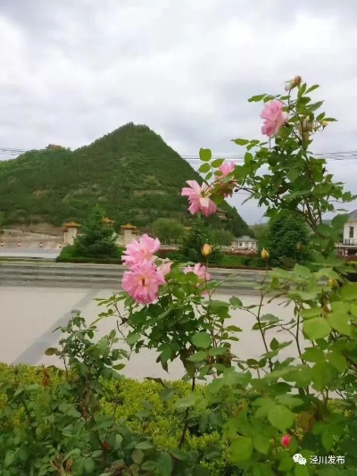 泾川天气,在四季的呼吸里,读懂一座西北小城的温度 泾川天气,在四季的呼吸里,读懂一座西北小城的温度